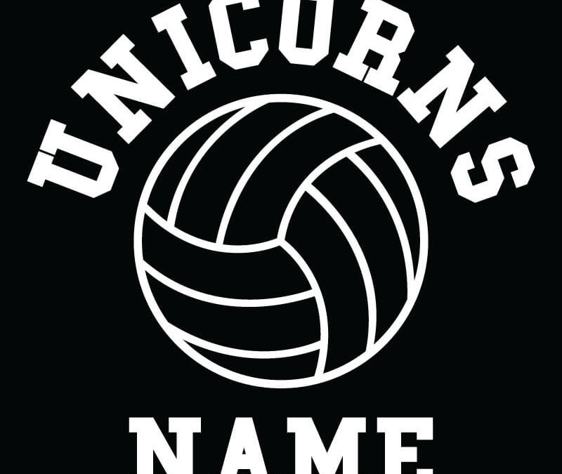 800x800_volleyball_decal